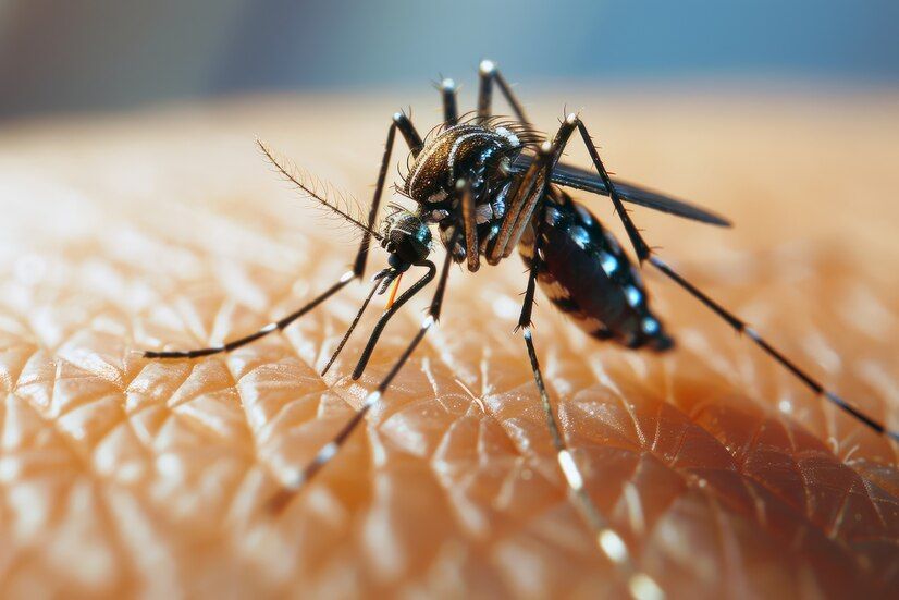 Medicare Coverage for Dengue